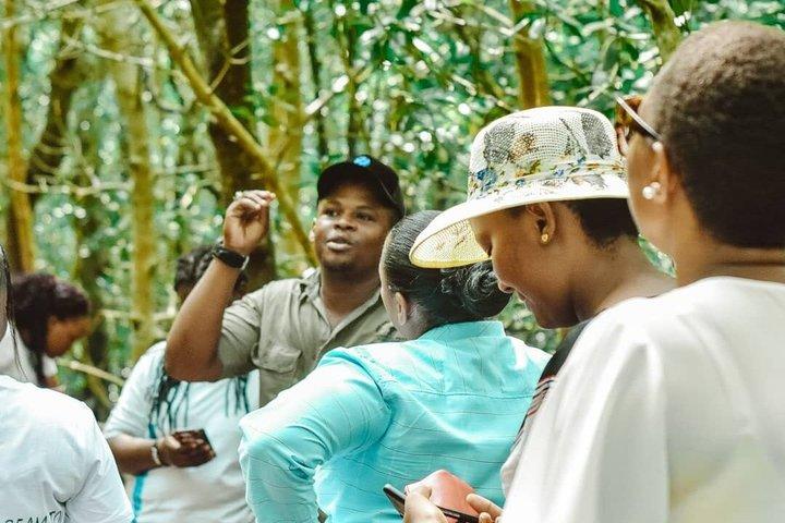 Zanzibar Jozani Forest Walking Tour