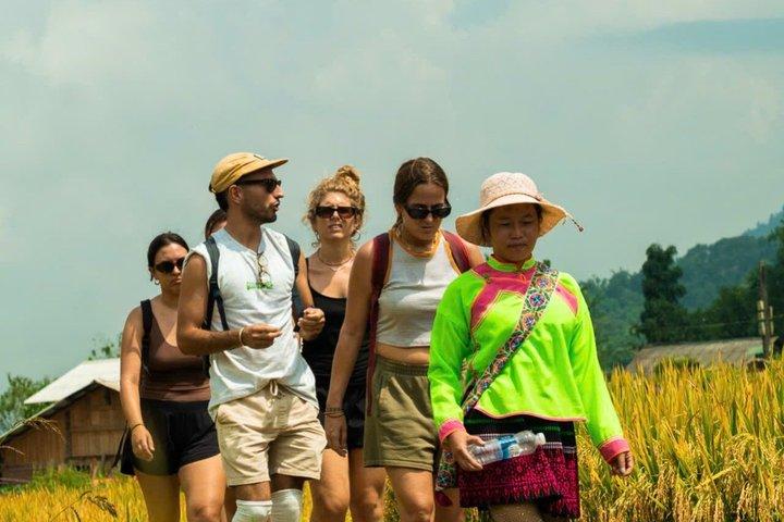 Sapa 2 Day Trek in Ta Van Village from Hanoi