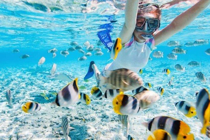 St Lucia Snorkeling Tour: Anse Chastanet Beach Day