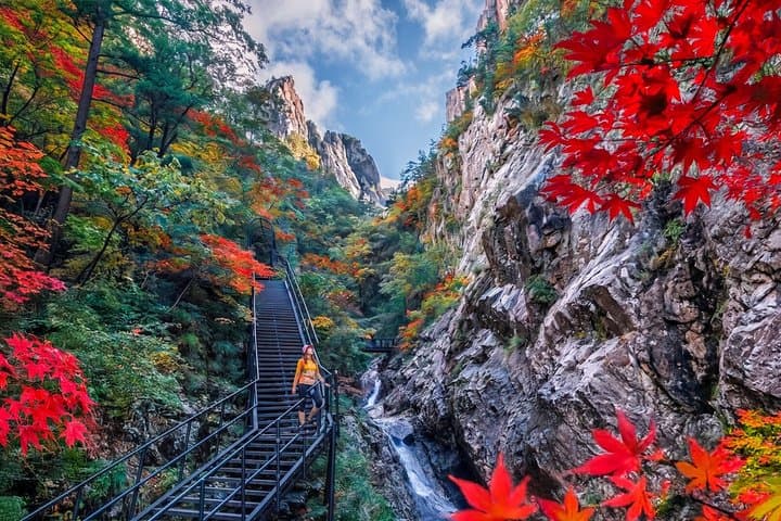 Mt. Seorak+Nami Island+Garden of Morning Calm Day Trip from Seoul