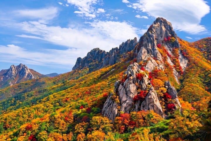 Mt. Seorak+Nami Island+Garden of Morning Calm Day Trip from Seoul