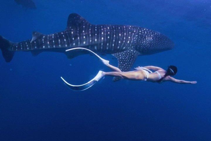 4D3N Komodo & Lombok Tour 2027