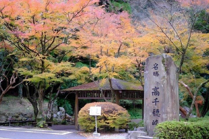 Day Tour to Miyazaki Takachiho Gorge & Shrine depart from Fukuoka