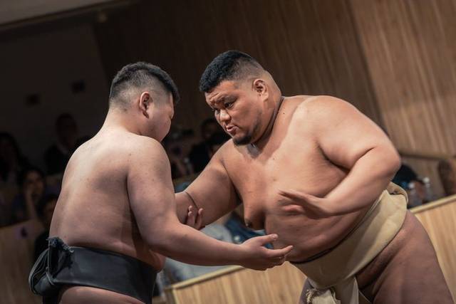 Sumo