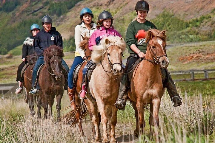 One-Hour Horseback Riding Tour in the Icelandic Countryside