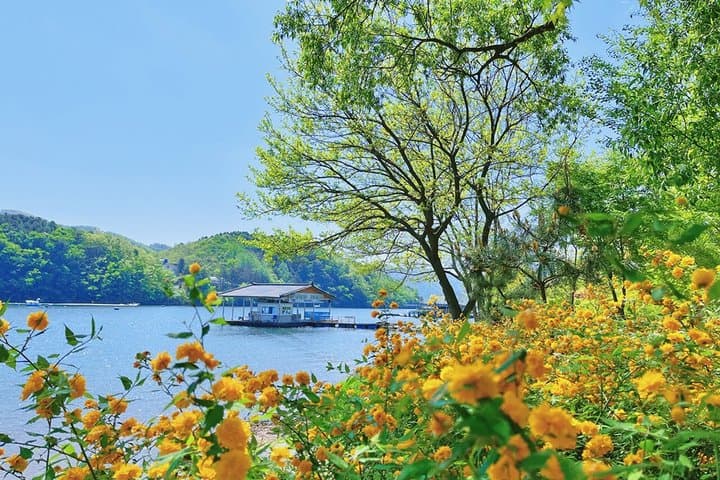 Nami Island & Alpaca Garden Cafe