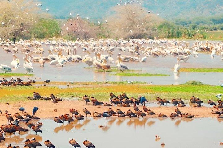 10 Days Kenya and Tanzania Magical Safari