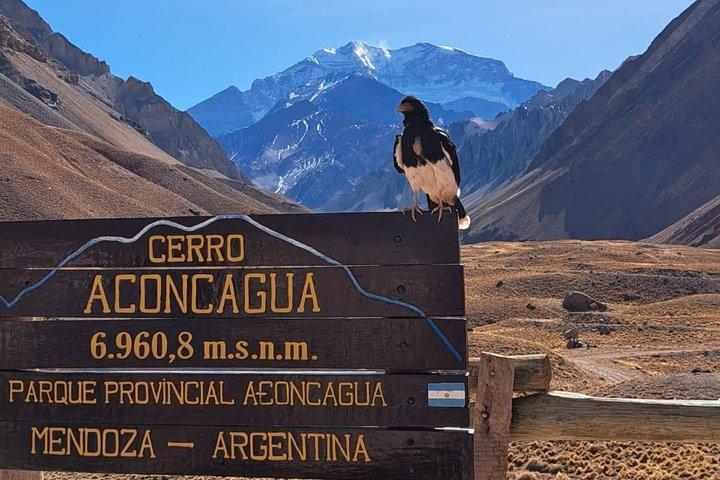 Full-Day Aconcagua Experience