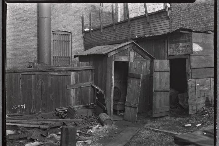 Sewage, Sex, and Sickness in the Five Points