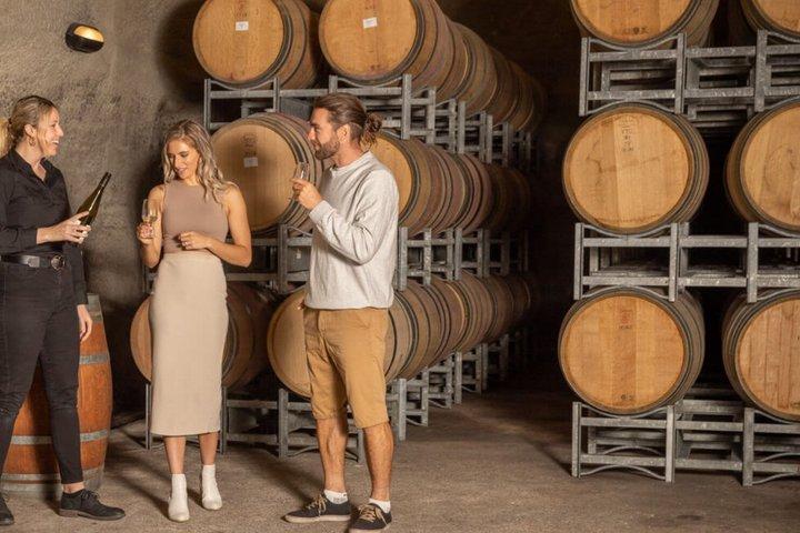 Queenstown Wine Tour + Wine Cave (Adults Only) Kiwi Host, Max 10