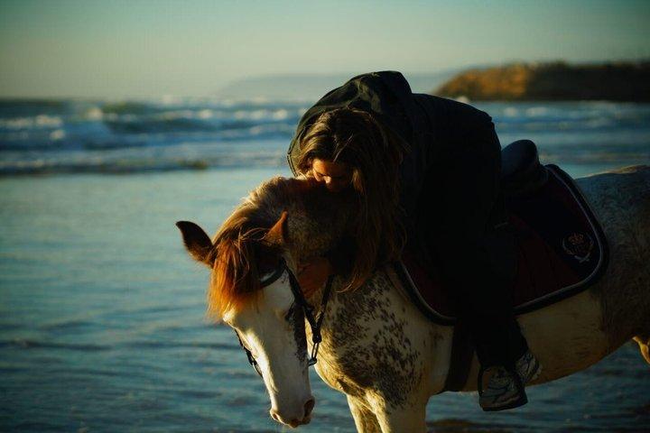 Agadir Tamraght Riding Center Taghazout Ocean Horse
