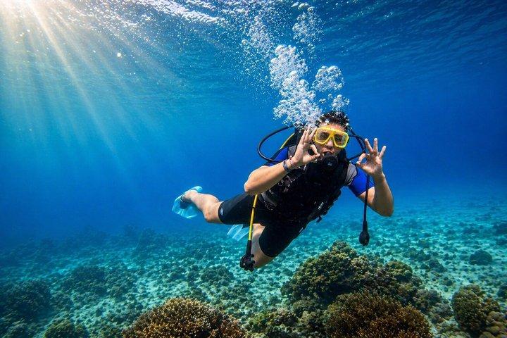 White Island & Ras Mohammed Boat Trip with Diving And Snorkeling