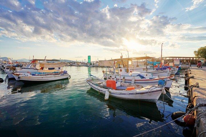 Moni and Agistri Half Day Small Group Cruise from Aegina