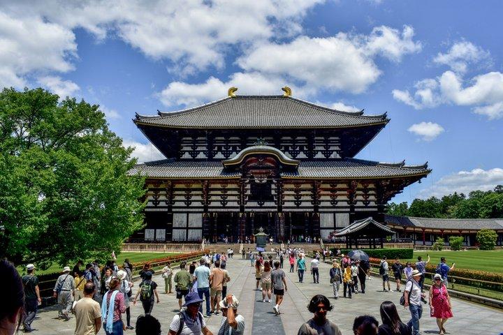 Nara Private Tour: Great Buddha, Park Deer & World Heritage