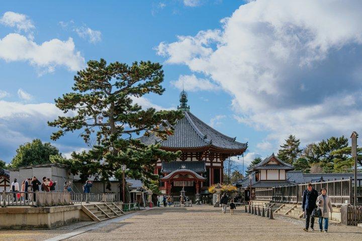 Nara Private Tour: Great Buddha, Park Deer & World Heritage