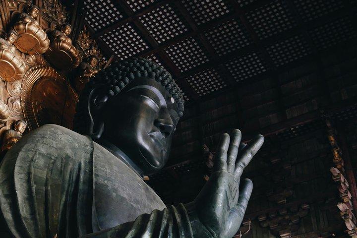 Nara Private Tour: Great Buddha, Park Deer & World Heritage