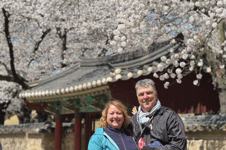 Gyeongju: Small Group Tour with Busan & Gyeongju Pick-up