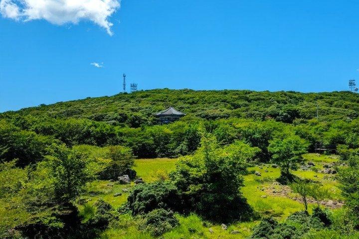 Jeju WestSouth UNESCO Highlight Tour with Mt Halla