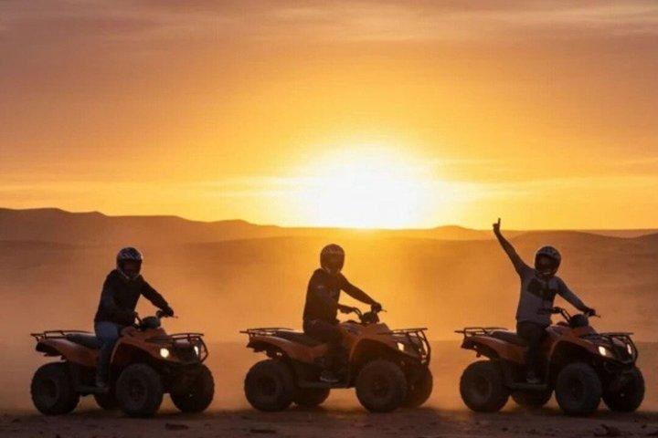 Marrakech Oasis Escape: Camel Ride & Quad Bike Adventure