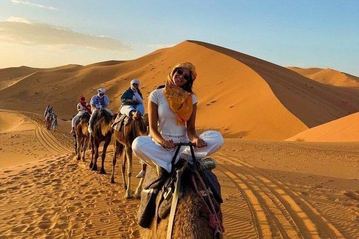 Marrakech Oasis Escape: Camel Ride & Quad Bike Adventure