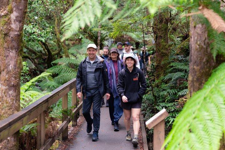 Hobart: Waterfalls, Wilderness & Wildlife - Active Day Tour