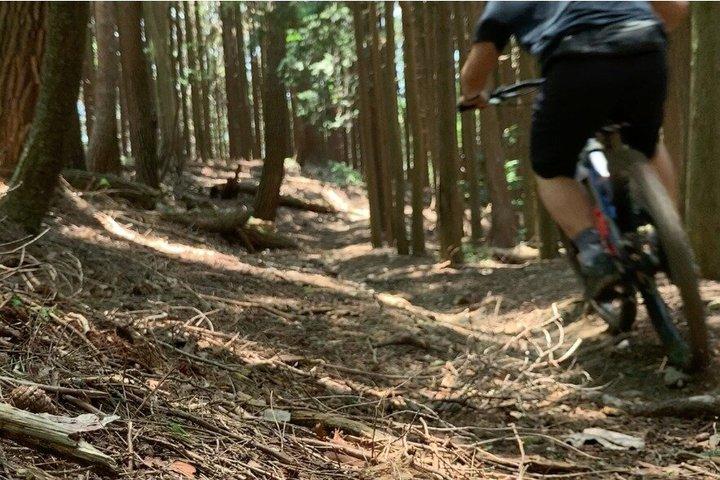 Osaka Japan E MTB Trail Ride: Katsuo-ji Temple & Pilgrim Trails