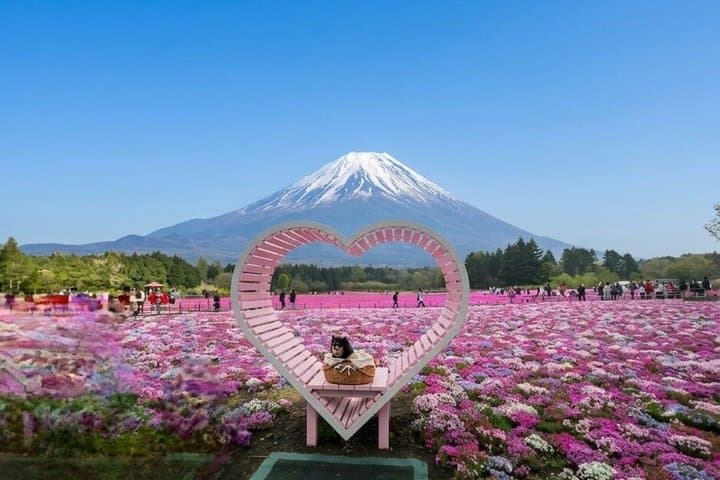 Private Tour of Mount Fuji with English speaking driver