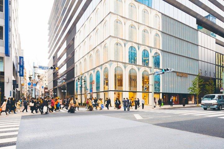 Ginza Personal Stylist: Luxury & Hidden Gems by Pro Buyer