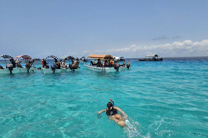 Mnemba Island Snorkeling Turtle Aquarium and Kendwa Beach Tour