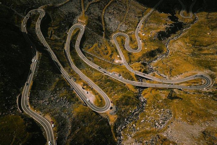 Transfagarasan Road Wild Bear Experience from Brasov