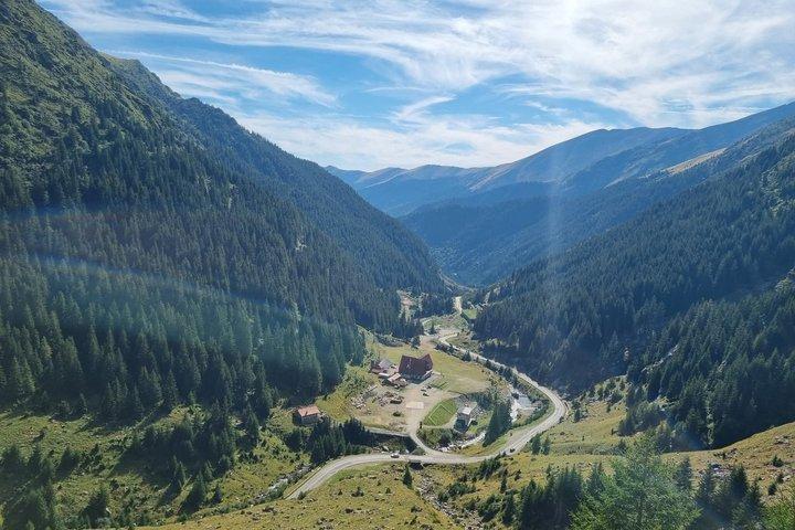 Transfagarasan Road Wild Bear Experience from Brasov