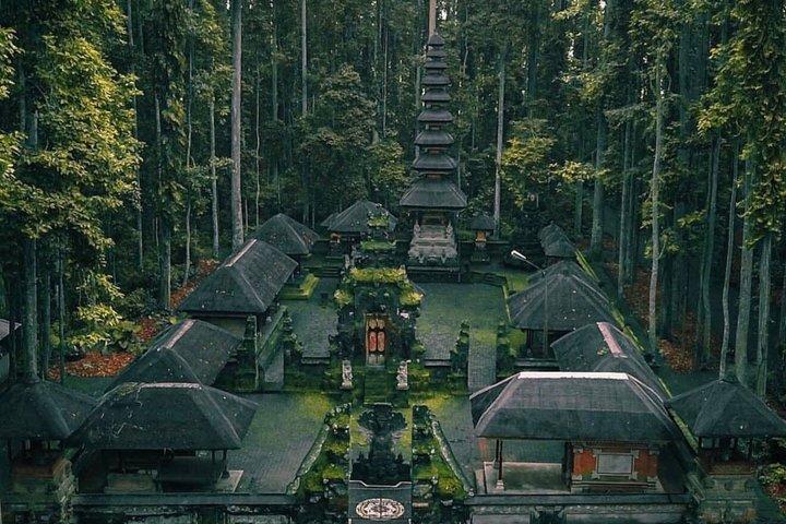 Ubud Monkey Forest, Water Temple, Waterfall, and Rice Terraces