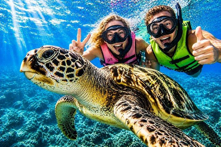 Waikiki Turtle Snorkeling Tour with Free Pickup