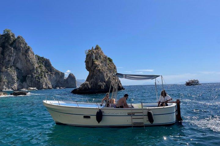 Tour of the Faraglioni of Capri and the Highlights of the island