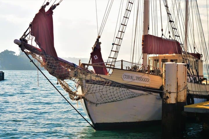Sydney Harbour Tall Ship Whale & Sail - Whale Watching Cruise