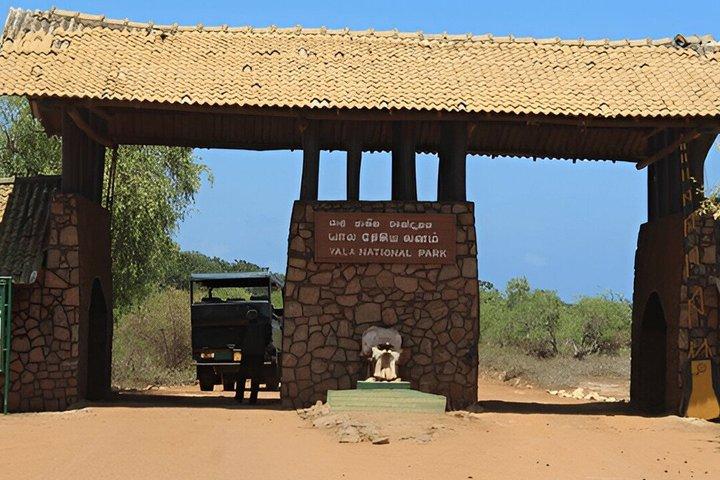 Private Tour from Hiriketiya to Ella with Yala Safari