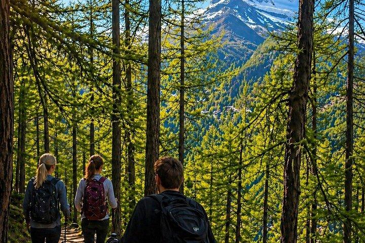 Matterhorn Hike with guide plus cable train ticket