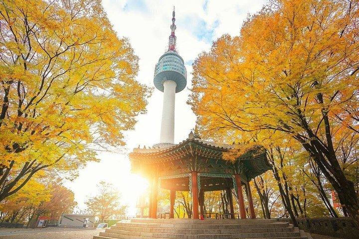 Seoul N Seoul Tower Observatory Ticket