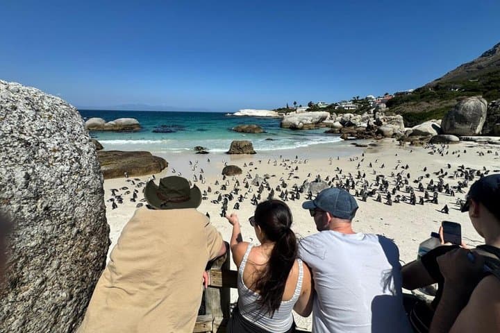 Private Tour: Cape Peninsula & Penguin Beach, Cape Point & more