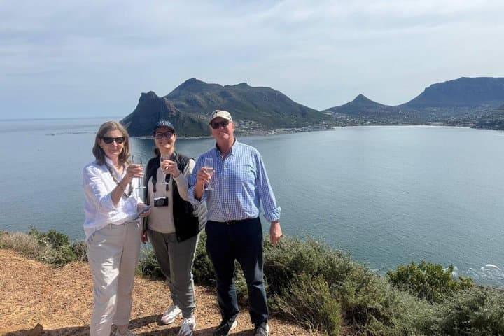 Private Tour: Cape Peninsula & Penguin Beach, Cape Point & more