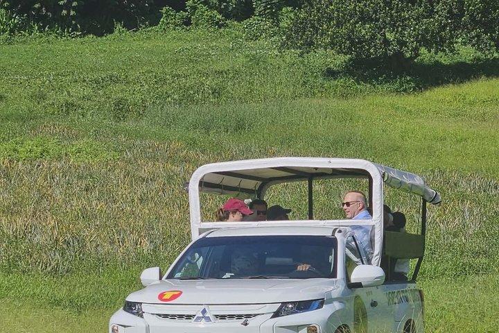 Safari 4x4 Adventure Tour in Moorea