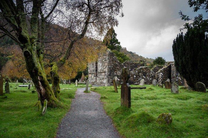 Dublin: Glendalough, Wicklow, Kilkenny and Sheepdog demonstration