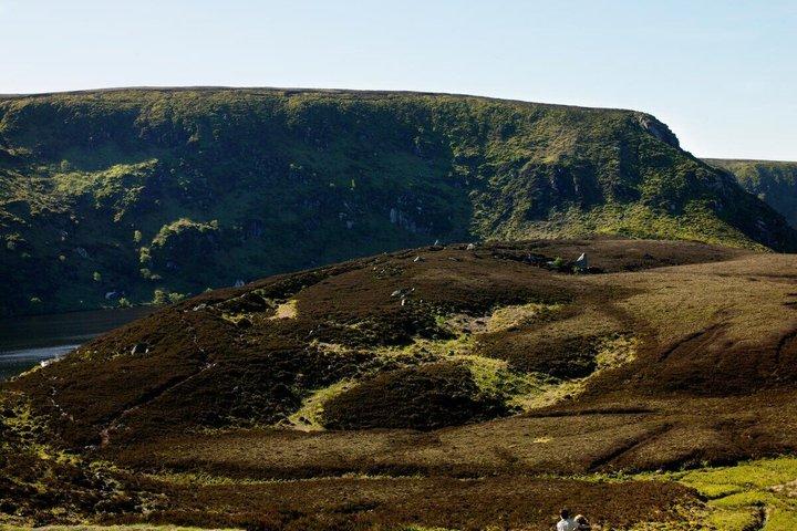 Dublin: Glendalough, Wicklow, Kilkenny and Sheepdog demonstration