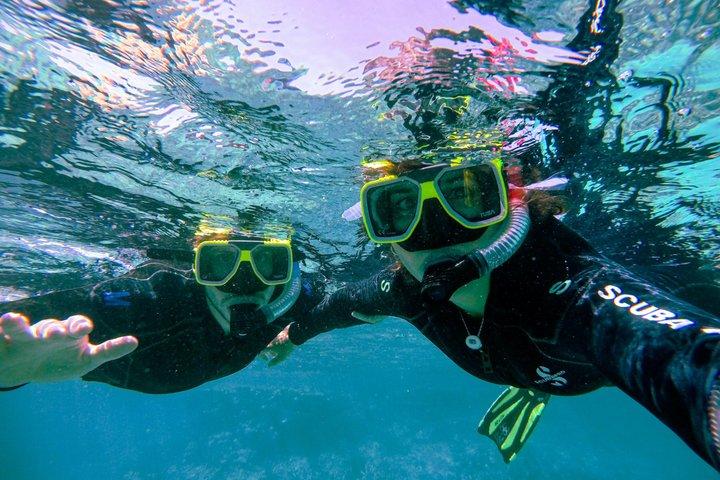 Dreamer Island Snorkel, Leisure and Watersport from Kota Kinabalu