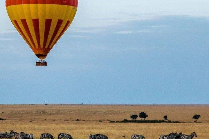 Maasai Mara Thrills 3 Days of Big Five Encounters
