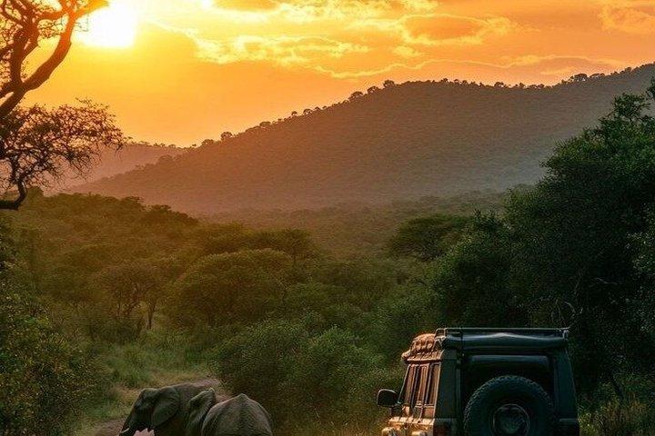 Maasai Mara Thrills 3 Days of Big Five Encounters