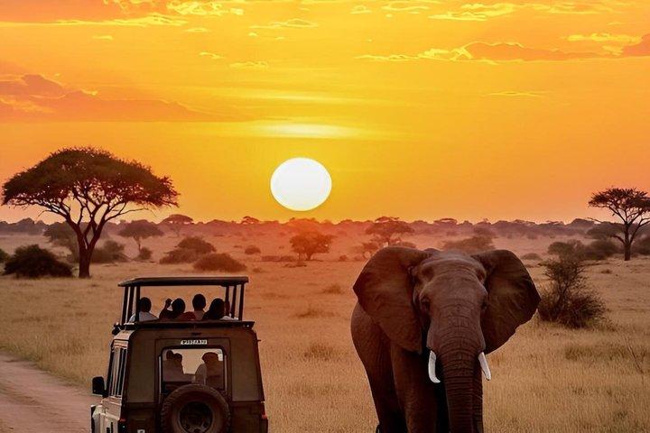 Maasai Mara Thrills 3 Days of Big Five Encounters