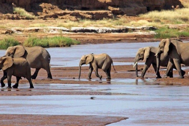 Mount Ololonkwe and Buffalo Springs