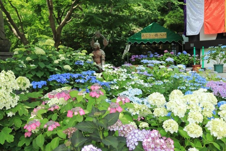 From Tokyo: Kamakura & Enoshima 1-Day Bus Tour