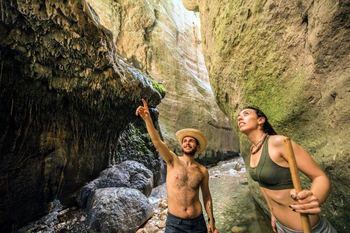 Minibus Safari: Avakas Gorge Lara Beach Sea Caves and Edro III.